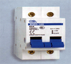 BMG-100系列隔離開關