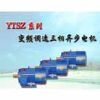YTSZ系列冶金及起重用三相異步電機(jī)