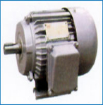 Y 系列三相異步電動(dòng)機(jī)