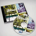 WindLGC應用控制器軟件