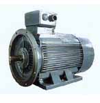 畢捷 Y2系列高效（EFF1）標(biāo)準(zhǔn)三相異步電動(dòng)機(jī)
