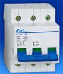 法泰 FTG11-100隔離開關