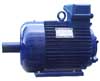 東方 YZ系列三相異步電動(dòng)機(jī)