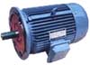 吉祥 Y系列電動機