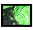 瑞豐科技 RFG-230 工業(yè)液晶顯示器