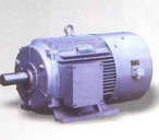 柳州佳力 YVF系列(IP54)變頻調速三相異步電動機