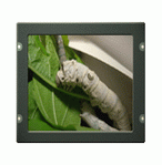 控易電子 寬溫液晶顯示器