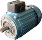 三威 SWYS系列異步電動機