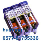 宇威 EVS160,250,400,630交流真空接觸器