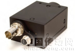 “Magnolia”——木蘭