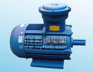 YB2-W、TH、WTH系列隔爆型三相異步電動機