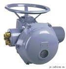 意大利埃克美迅執(zhí)行機(jī)構(gòu)