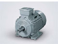 西門子 1LG0 Standard Motor