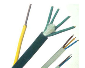 天彩康拓 耐高溫氟塑料安裝線及電纜 