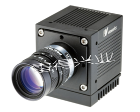 雷得興業 VA-29MC-Vieworks大靶面高分辨率相機