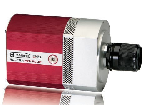 Rolera-MGi Plus—QImaging EMCCD科學(xué)相機(jī) (雷得興業(yè)代理)