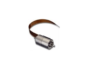 Portescap 渦輪盤步進(jìn)電機(jī) P010