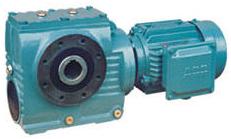 瑞德森 S系列斜齒輪-蝸輪減速機